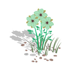 Growing flowers with grass and stones on a white background. Vector illustration.