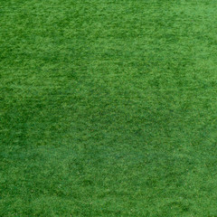 Fototapeta premium football field. Bright juicy perfect green grass. background. high image quality