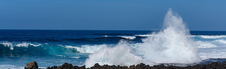 Fototapeta premium Fuerteventura im Dezember