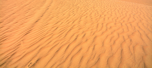 Beautiful desert with yellow sand.  Nature texture.