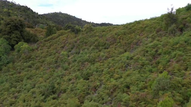 national park of abel tasman in new zealand, aerial view over the rain forrest in abel tasman, 