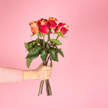 Beautiful Bouquet Of Pink Roses In A Female Hand On Pink Background.