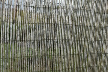 Brise-vue en paillon de roseaux naturels en gros plan