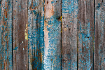 Painted in blue and grey wooden damaged texture, wallpaper and background, close-up. Grunge rustic design, decoration and exterior or interior details concept