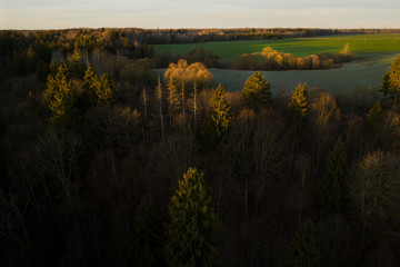Fototapeta premium Sunrise over the forest and green fields