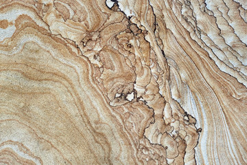 Wooden cross section of tree texture, wallpaper and background with unique pattern, close-up. Grunge rustic design, decoration and exterior or interior details concept