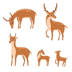 Sika deer family isolated on white background. Vector graphics.