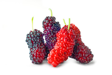Isolated of  red mulberry fruit on white background with clipping path.