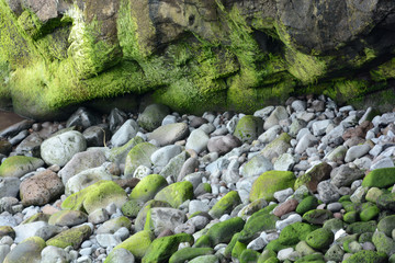 along the wild coast of Madeira, Portugal