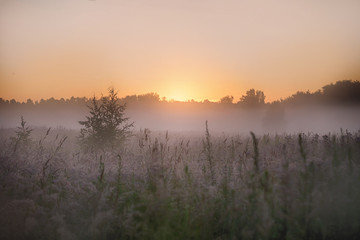 misty morning sunrise over the lake