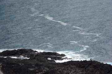 along the wild coast of Madeira, Portugal