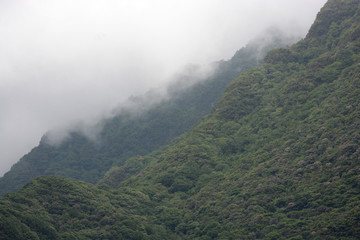 along the wild coast of Madeira, Portugal