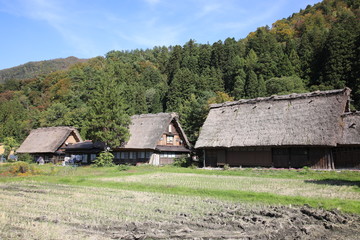 Fototapeta na wymiar Shirakawa-go Historic Village, Gifu, Japan