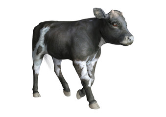 3D Rendering Calf on White