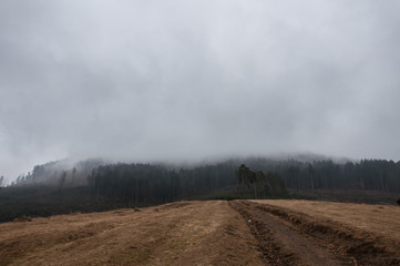 landscape with road and clouds