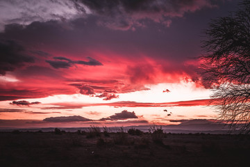 Atacama desert in Chile