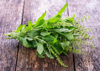 brunch of holy basil leaf on wooden board