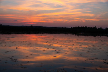 Abendstimmung am Federsee bei Bad Buchau in Oberschwaben