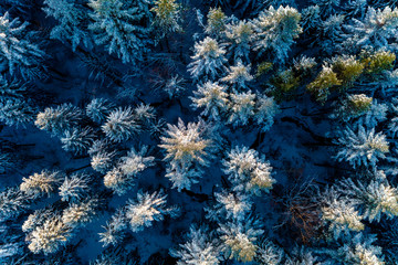 Aerial view on the mountain landscape in winter season.