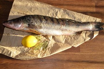 On wrapping paper lies fresh zander fish and yellow lemon.