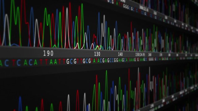 DNA Sequence. Zoom out. Black-Blue. 3 videos in 1 file. Lateral and frontal view of DNA sequences.  More options in my portfolio.