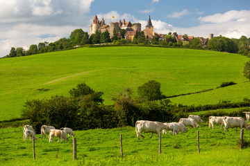 Chateauneuf mit Kühen im Vordergrund