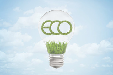 3d rendering of green grass and 'ECO' sign inside a light bulb on blue sky background