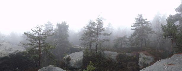 Bohemian paradise in foggy weather, Besedicke skaly, Mala skala, Czech republic