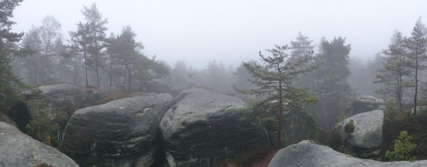 Fototapeta na wymiar Bohemian paradise in foggy weather, Besedicke skaly, Mala skala, Czech republic