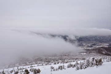 winter landscape with mountains and fog