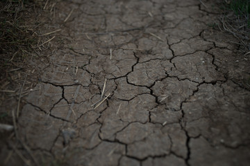 Dry brown earth in cracks, rural road close-up.