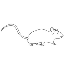 continuous single line drawing, mouse