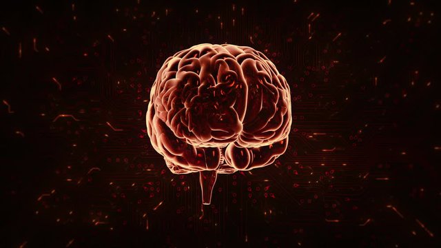 Spinning brain with circuit board background. Loopable. Orange and green. Technology. More options in my portfolio.
