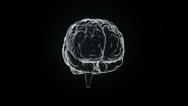 Human brain with neuronal impulses. Spinning. Loopable. Black and white. Orange. Science. More options in my portfolio.