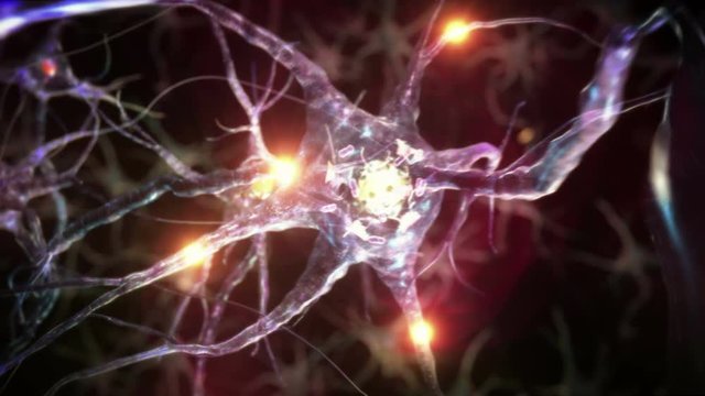 Human head and brain with neurons flashing. Electric impulses. Biology. Loopable. Dolly in inside a 3D human head to a brain with neurons during synapsis. More options in my portfolio. 