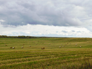Autumn landscape. Hay rolls on the field