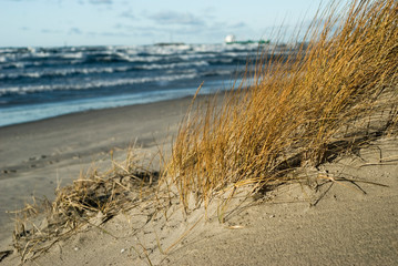 Baltic sea beach in Lithuania, near Klaipeda