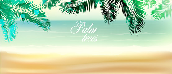 Fototapeta na wymiar Background with palm leaves. mixed media. Vector illustration