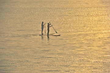 Paddle, sport et loisirs .