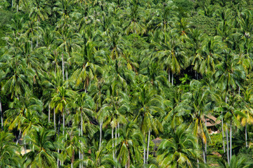 Thailand  / Krabi / Railay / View Point