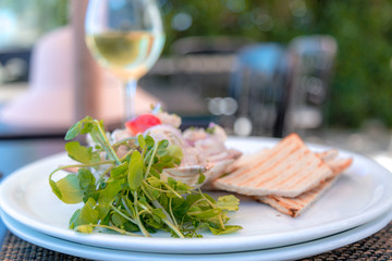 Plato de comida, con un fresco cebiche con verduras