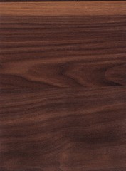 Texture of beautiful wooden veneer, natural background. Extremely high resolution Illustration