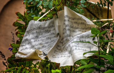 Lebendige Musik