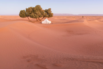 Camp with tent in the desert among sandy dunes. Sunny day in the Sahara during a sand storm in...
