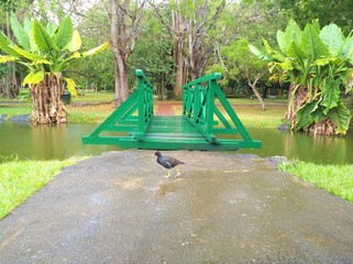 Birds in front of a green bridge