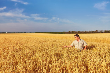 Farmer walking through a golden wheat field