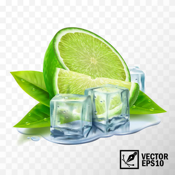 3D realistic vector set of elements lime with mint or tea leaves and ice cubes, half lime, sliced lime, leaves, puddle water