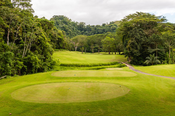 Landscape at the golf course. Tropical zone