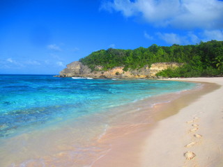 Fototapeta na wymiar Une plage de sable blanc à côté de la mer turquoise sous le ciel bleu