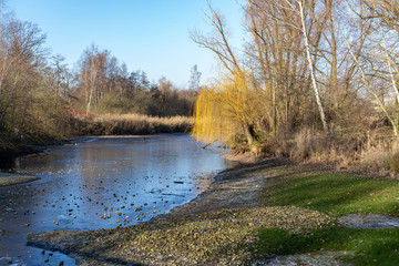 Winter - Idylle ohne Schnee am vereisten Schwanenteich / Gießen